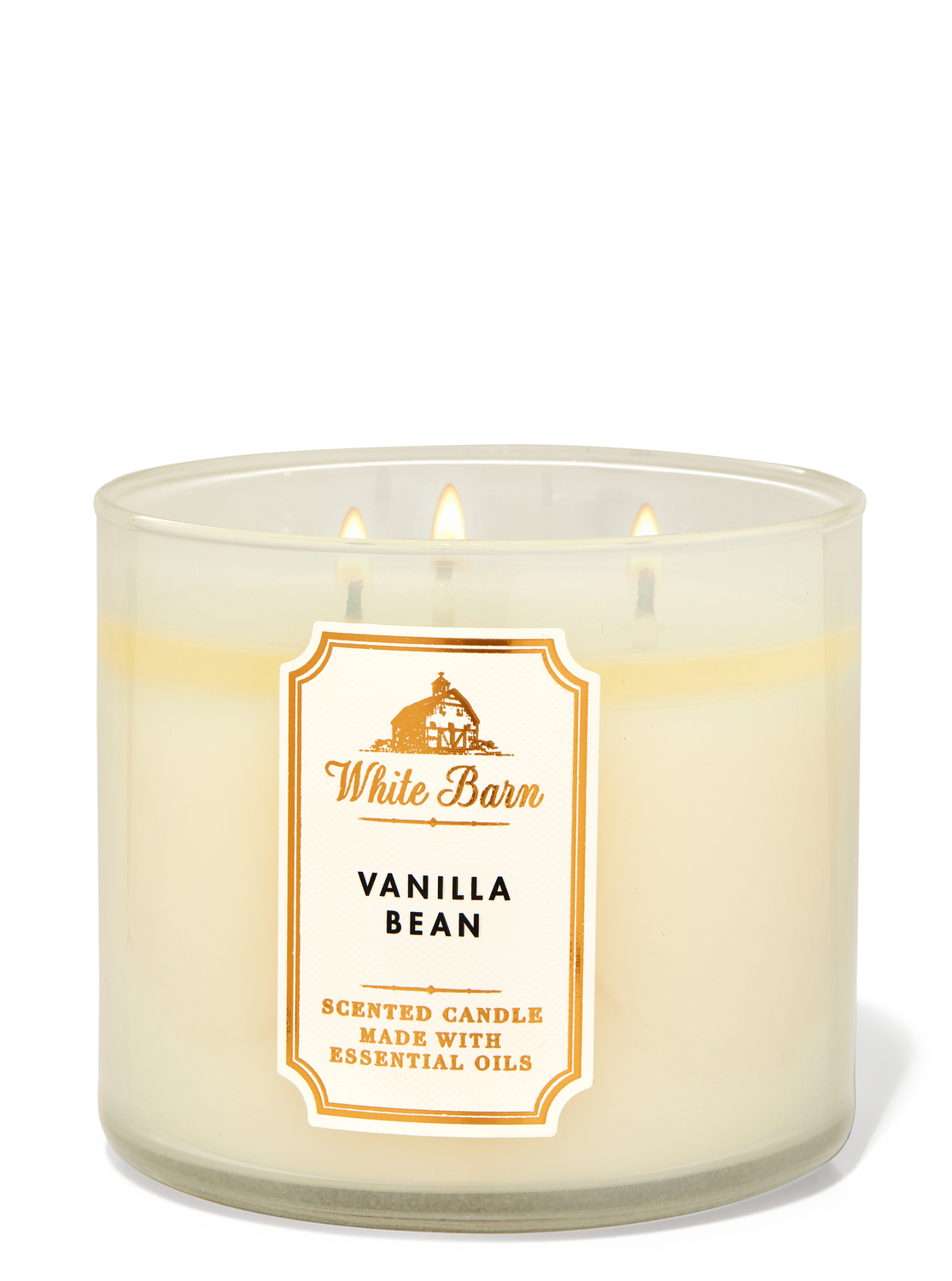 vanilla bean bath and body works candle